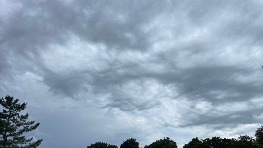 Severe thunderstorm watch issued in West Michigan