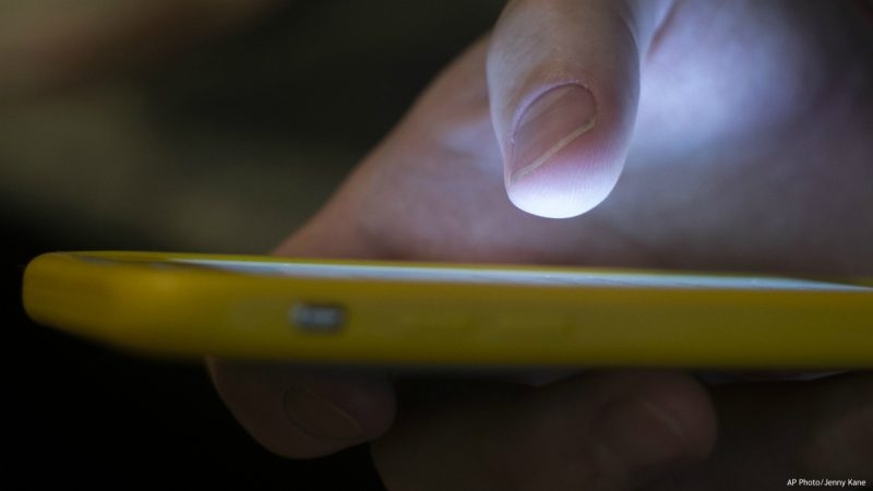 Kent County Animal Shelter: Watch out for pet surgery phone scam