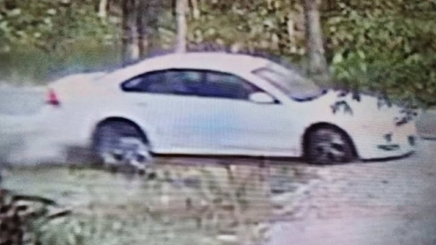 Police looking for hit-and-run driver who ‘went airborne' in Newaygo County