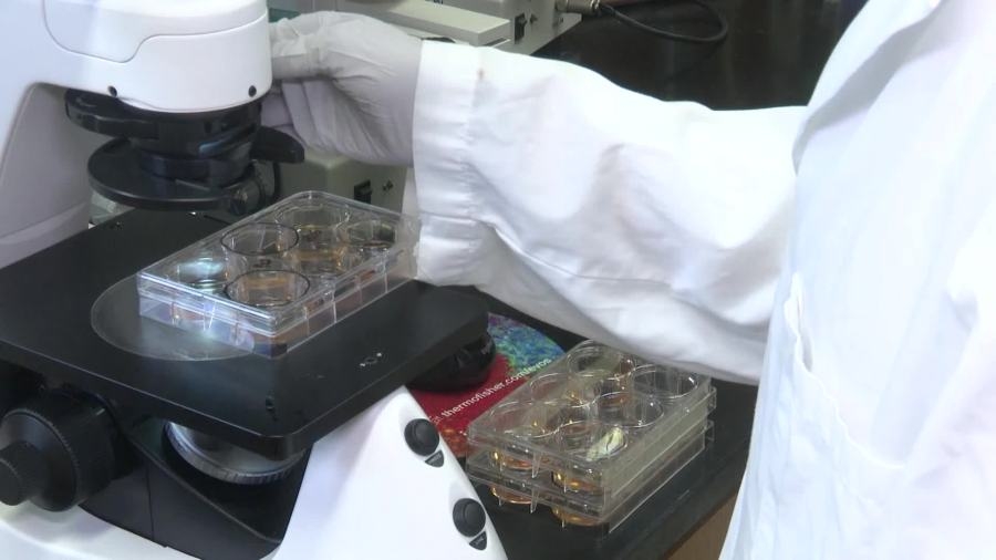Protesters to rally in Lansing against Trump cuts to medical research funds