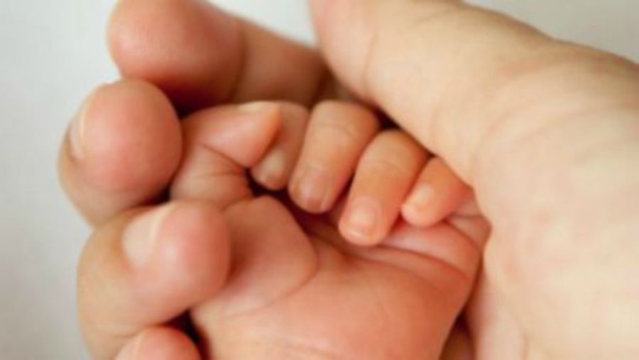 ‘Incredible victory' MI lifts ban on paid surrogacy, clears barriers