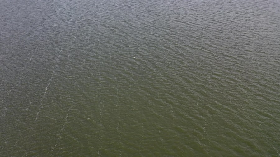 Federal funding cuts could hurt lakeshore conservation efforts