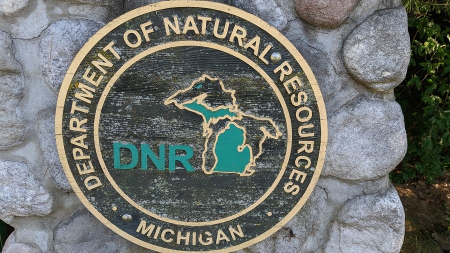 6 West Michigan communities awarded DNR grants for tree projects
