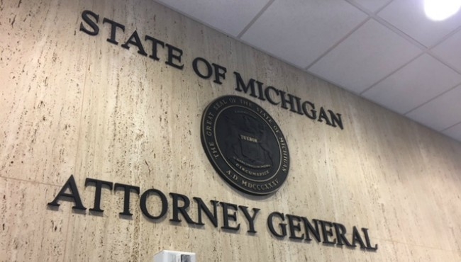 AG: Southwest Michigan woman faked vet records for dog sold online