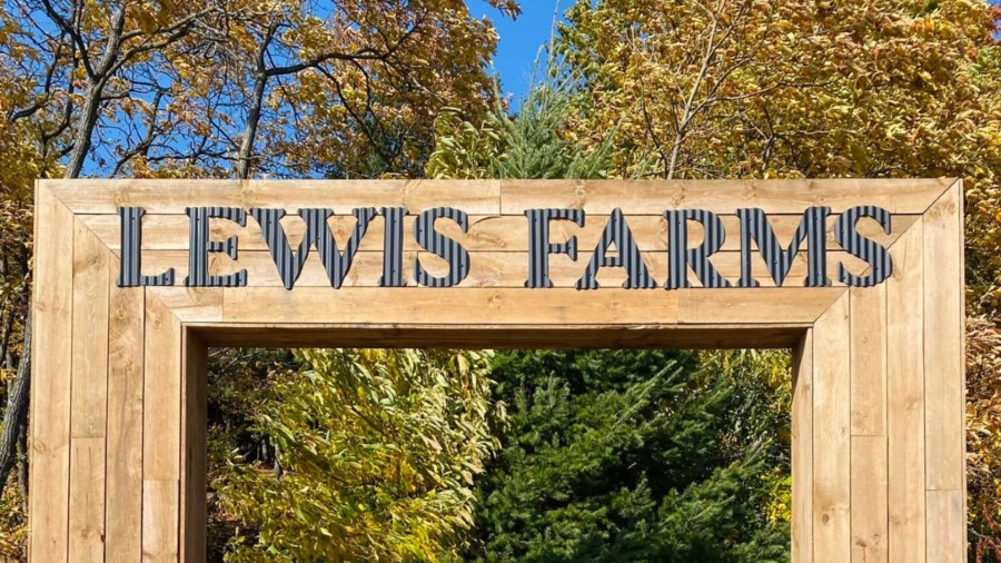 Lewis Adventure Farm owner hit, killed in parking lot by employee