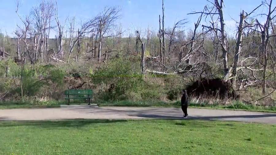 Portage to mark 1 year since tornado with ceremony, focus on recovery