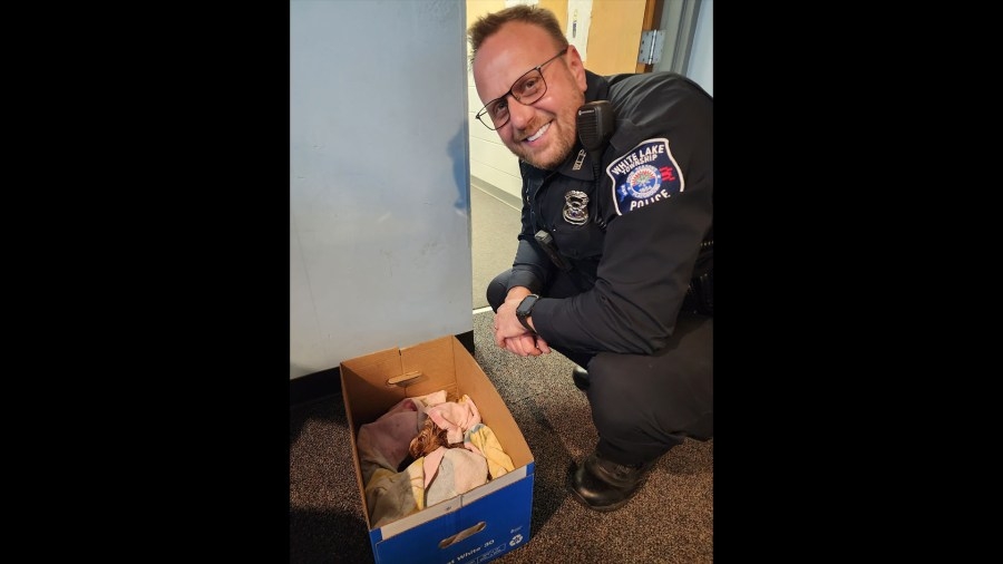MI officer delivers baby deer after mother killed in crash