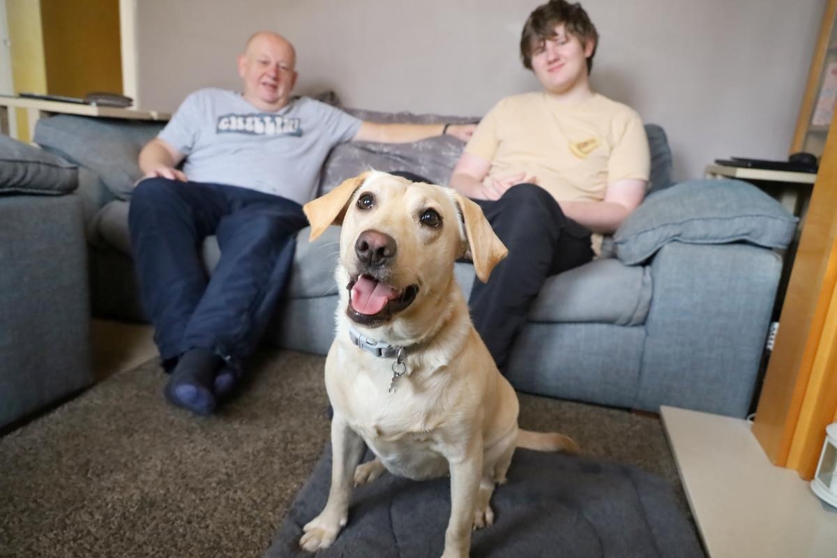 "She is a wonderful dog" - Labrador transforms owner's life