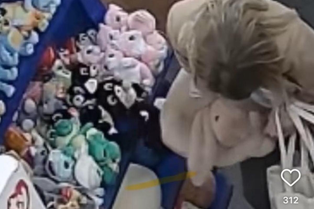 Thief stuffs 'significant amount' of Jellycat toys in trousers at city garden centre