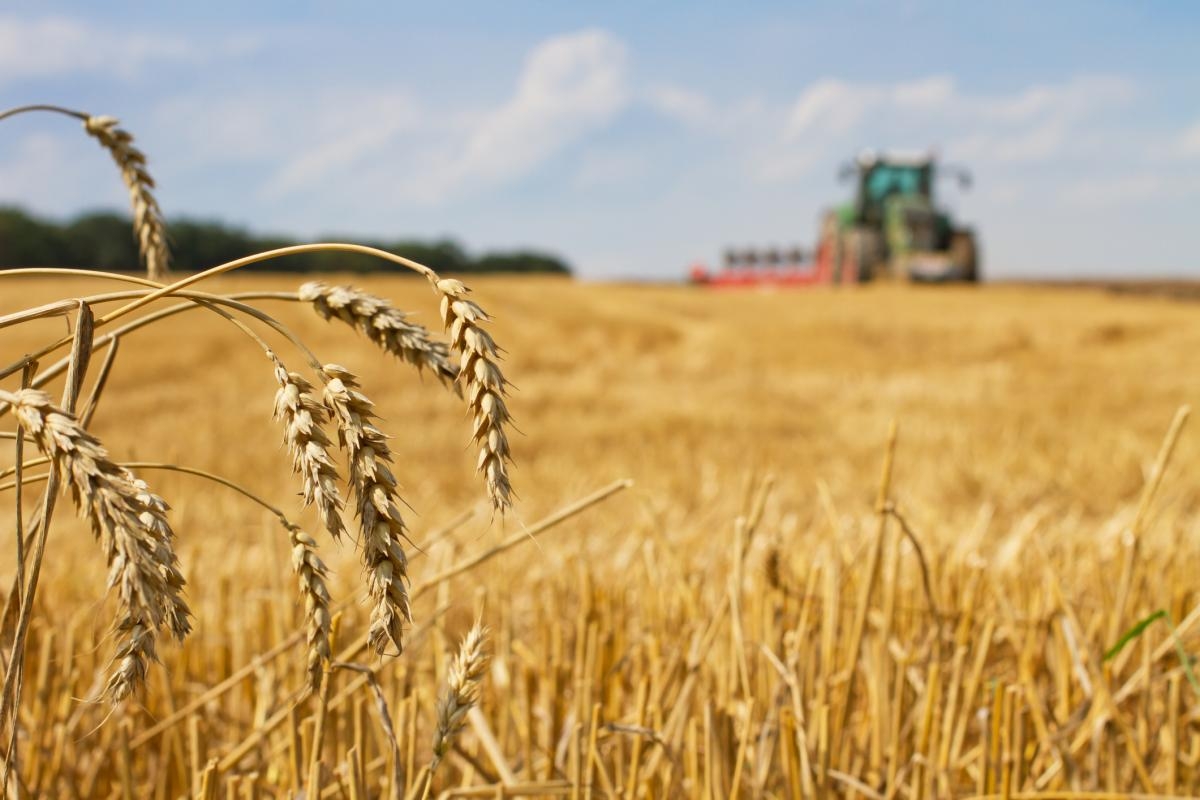 Council told what it can do to help Worcestershire's farmers