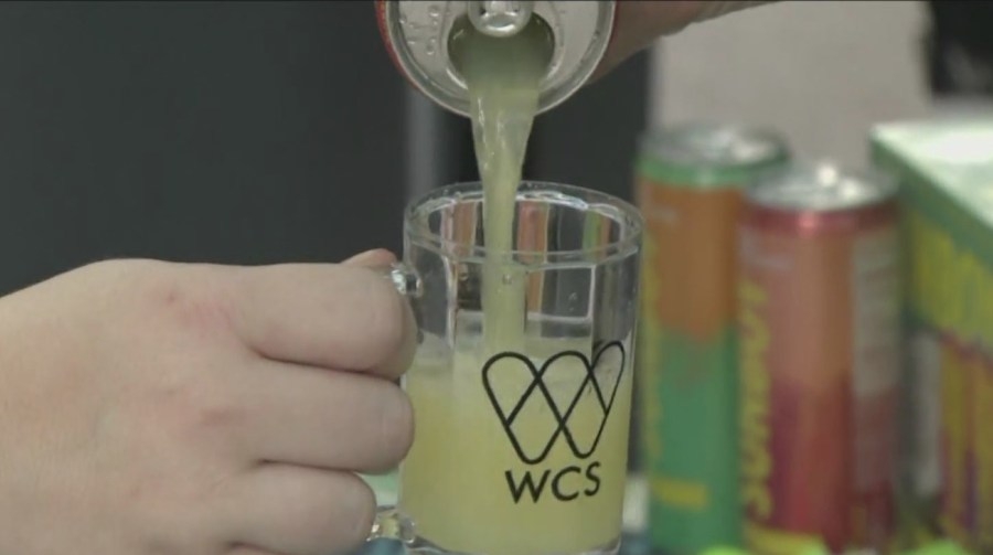 Craft beer, music and animals as ‘Brew at the Zoo' fest returns