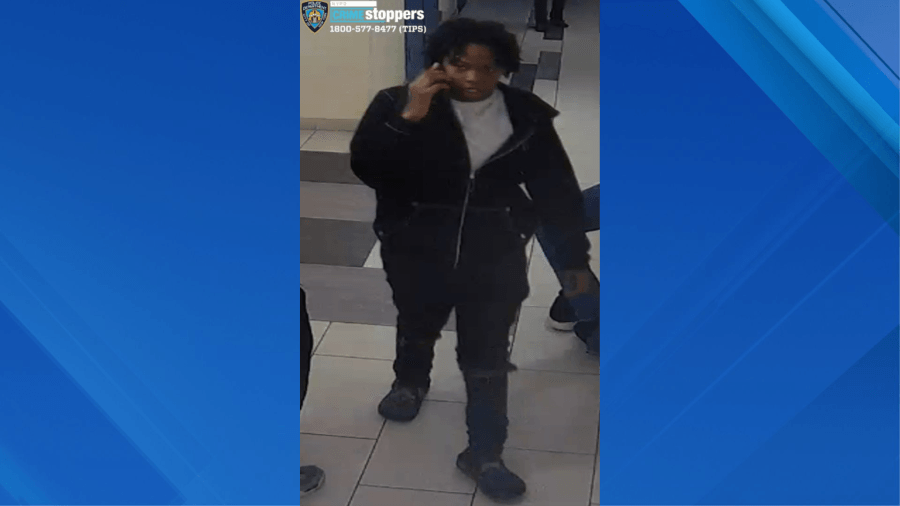 Woman allegedly opens fire into occupied apartment in Brooklyn: NYPD