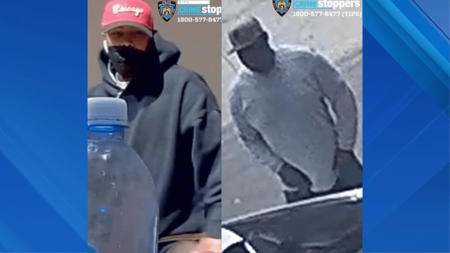 French bulldogs stolen during Queens robbery pattern: NYPD