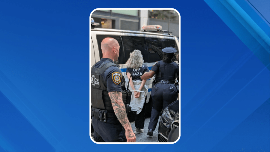 Dozens of pro-Palestinian protesters detained in NYC: Organizers