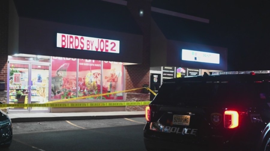 Business owner on the mend after crossbow shooting, suspect in custody