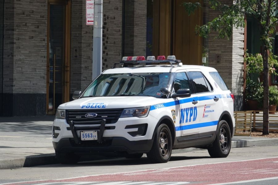 1-month-old baby found dead in Queens wasn't killed by puppy: sources