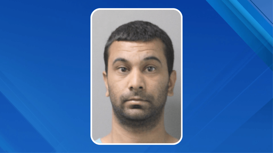 Man allegedly rams into police cruiser after damaging cars in NY: police