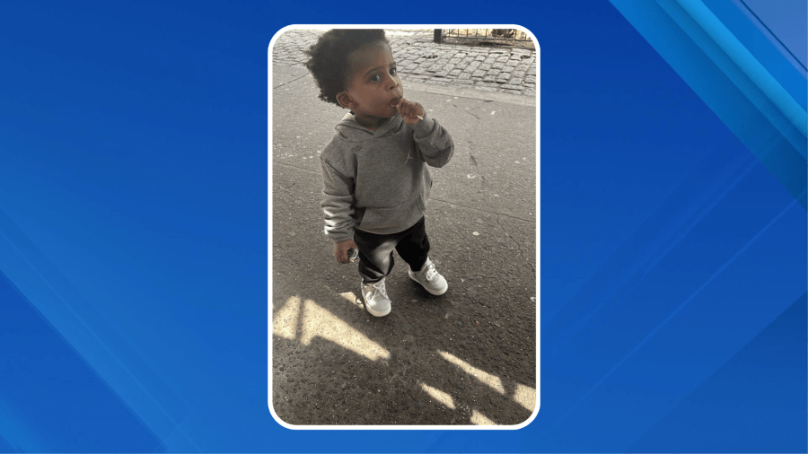 ‘May never be found': Dad of boy, 2, seen throwing bag into Bronx River, sources say