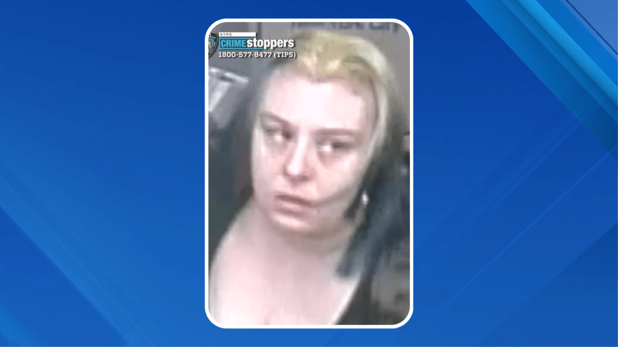 Woman accused of punching 73-year-old subway rider in NYC train station