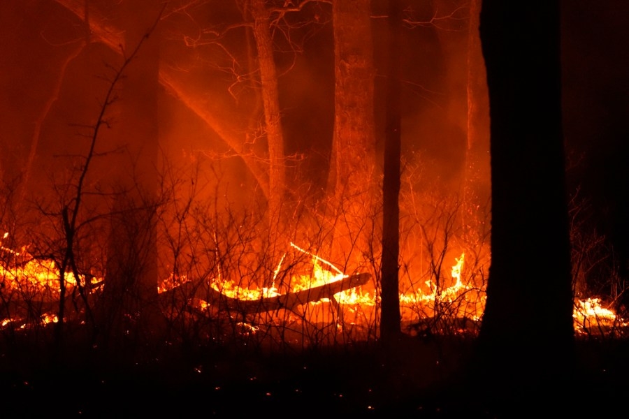 New Jersey lawmakers weigh in on wildfire preparedness