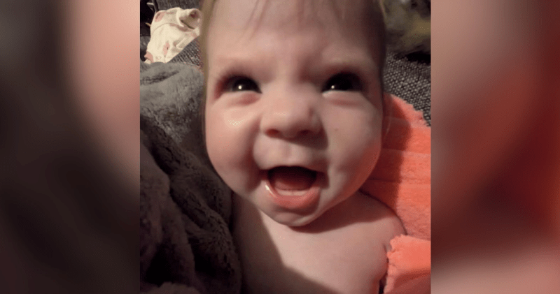 Toddler killed in ‘horrible' dog attack in Alabama