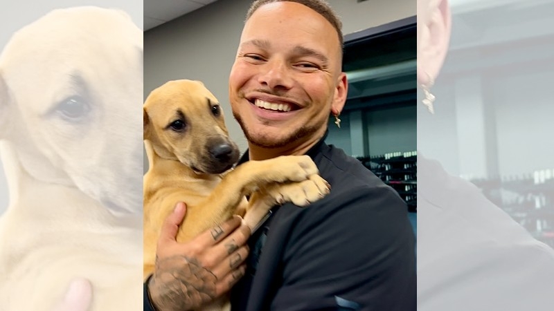 Kane Brown plays with adoptable puppies ahead of Providence show