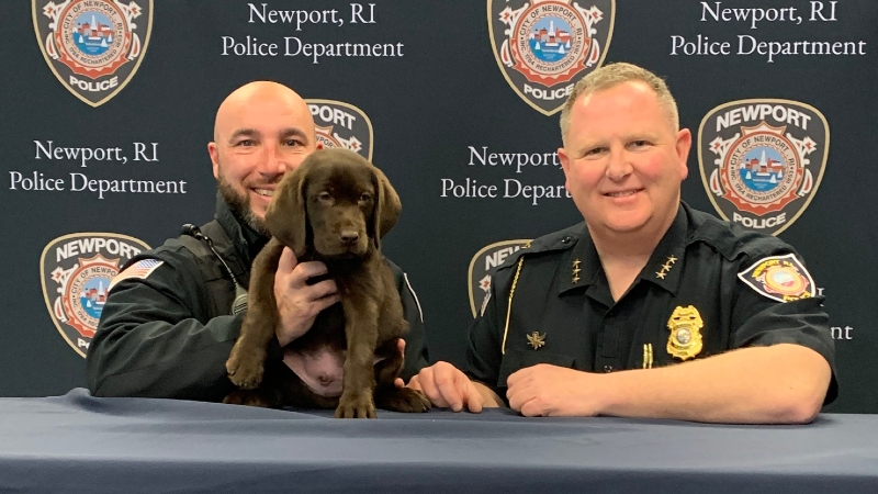 Meet Bo, Newport's first comfort K-9