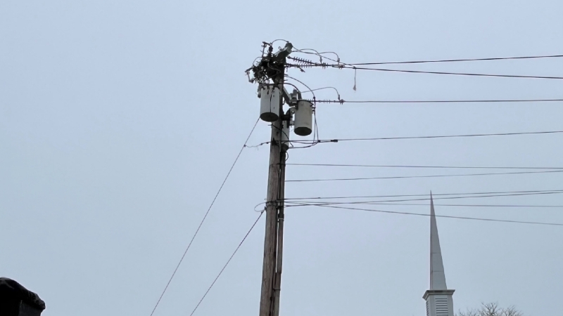Osprey nest causes power outage in Narragansett