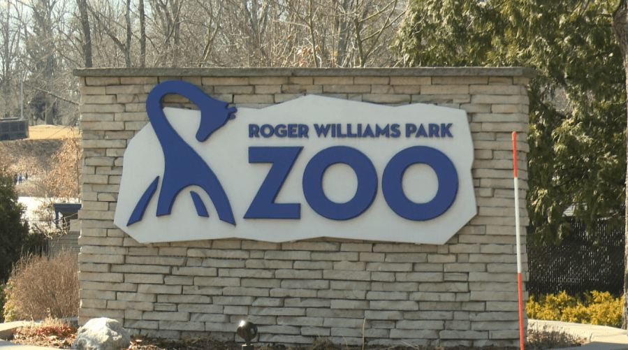 Humboldt penguins arrive at Roger Williams Park Zoo