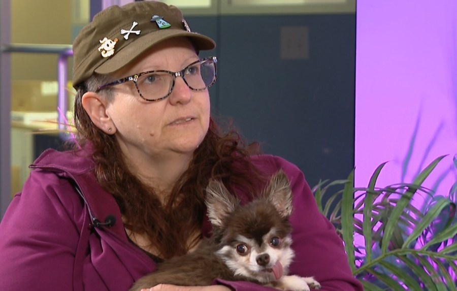 ‘They have been our savior': Pet owner speaks out to save East Providence vet clinic