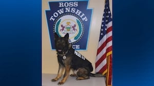 Long-time Ross Township Police Department K-9 dies