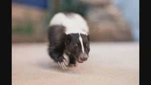 National Aviary welcomes 10 new animal ambassadors