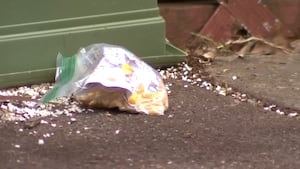 Man accused of distributing antisemitic flyers in Pittsburgh identified