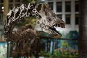 $25M ‘historic' gift lets Carnegie Museum of Natural History upgrade its iconic dinosaur exhibit