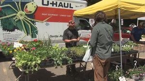 CitiParks Farmers Markets returning to Pittsburgh neighborhoods beginning on Sunday