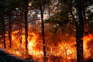 Wildfires prompt evacuation in the Carolinas as New Jersey crews battle their own blaze