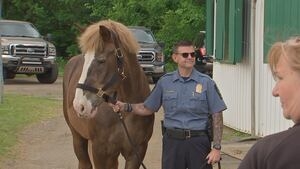 Allegheny County police horse retires after 18 years on the force