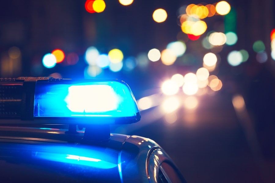 Hogansville couple allegedly distributed, advertised Child Sex Assault Material