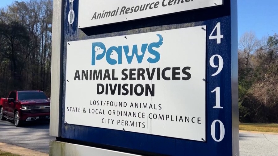 PAWS Animal Services Division answers questions about animal control takeover