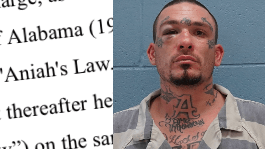 Aniah's Law: Beauregard man allegedly stabbed roommate, cleaned scene with bleach