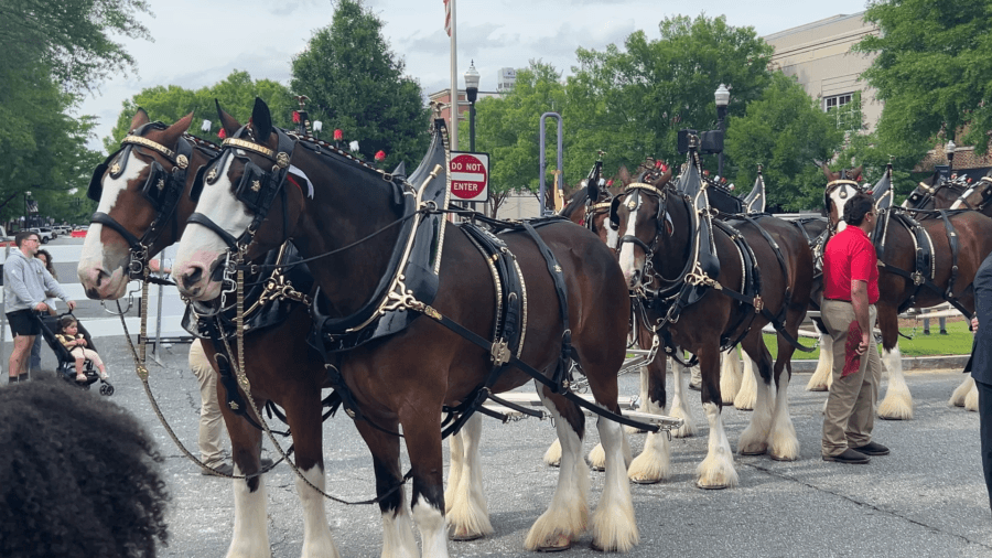 Nationwide tour brings Clydesdales to Columbus