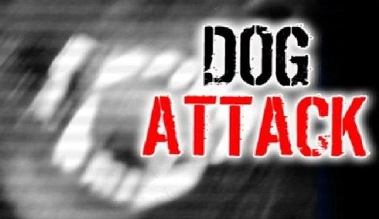 78-year-old Beulah woman killed after dog attack in Lee County