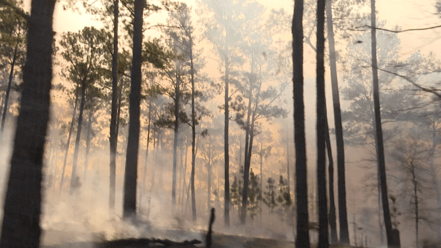 300 acres of land burned on Fort Benning