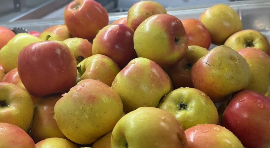 Hungry? Lee County Schools feeding ALL kids under 18 this summer—no questions asked