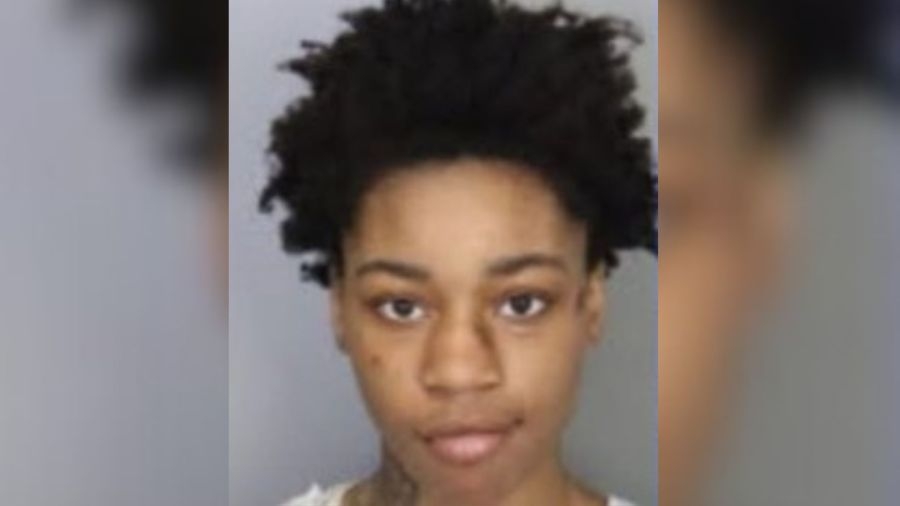 Woman arrested in deadly Tom Lee Park shooting