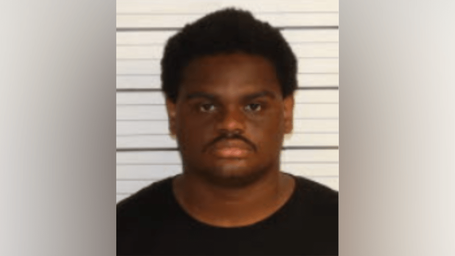 Grandson confesses to killing woman with hammer: Police