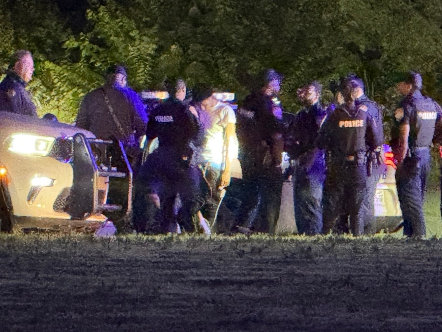 1 in custody after car theft, chase in Cordova