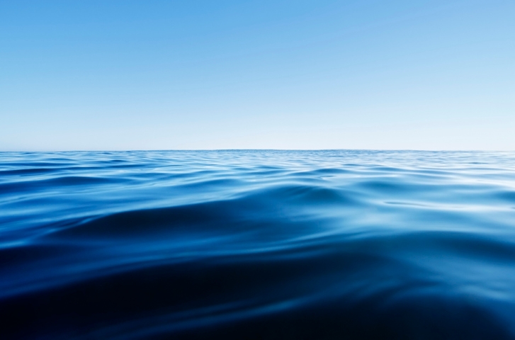 New ocean exhibit opens at Children's Museum of Memphis