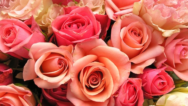 Valentine's Day 2025: Dinners and events in the Rochester area
