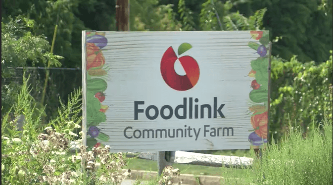 Foodlink addresses rise in food insecurity in Rochester